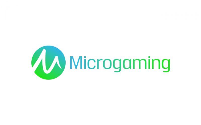 Micro gaming slot